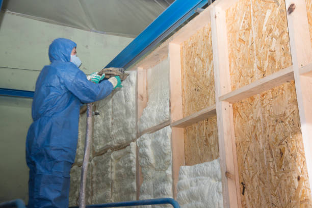 Insulation Inspection Services in Flowood, MS